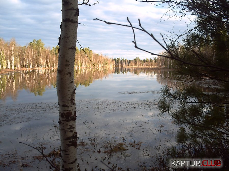 PICT0176.JPG | Рено Каптур Клуб Россия | Форум KAPTUR.SU