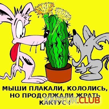 плакали-кололись-но-продолжали-жрать-кактус-1.jpg | Рено Каптур Клуб Россия | Форум KAPTUR.SU