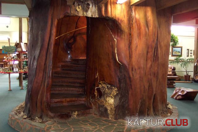 podarok_01.jpg | Рено Каптур Клуб Россия | Форум KAPTUR.SU