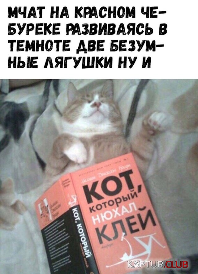 podb_10.jpg | Рено Каптур Клуб Россия | Форум KAPTUR.SU