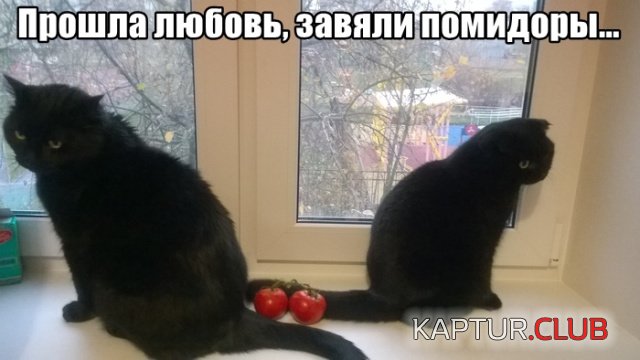 podb_14.jpg | Рено Каптур Клуб Россия | Форум KAPTUR.SU