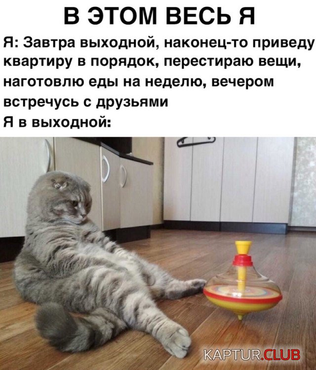 podb_22.jpg | Рено Каптур Клуб Россия | Форум KAPTUR.SU