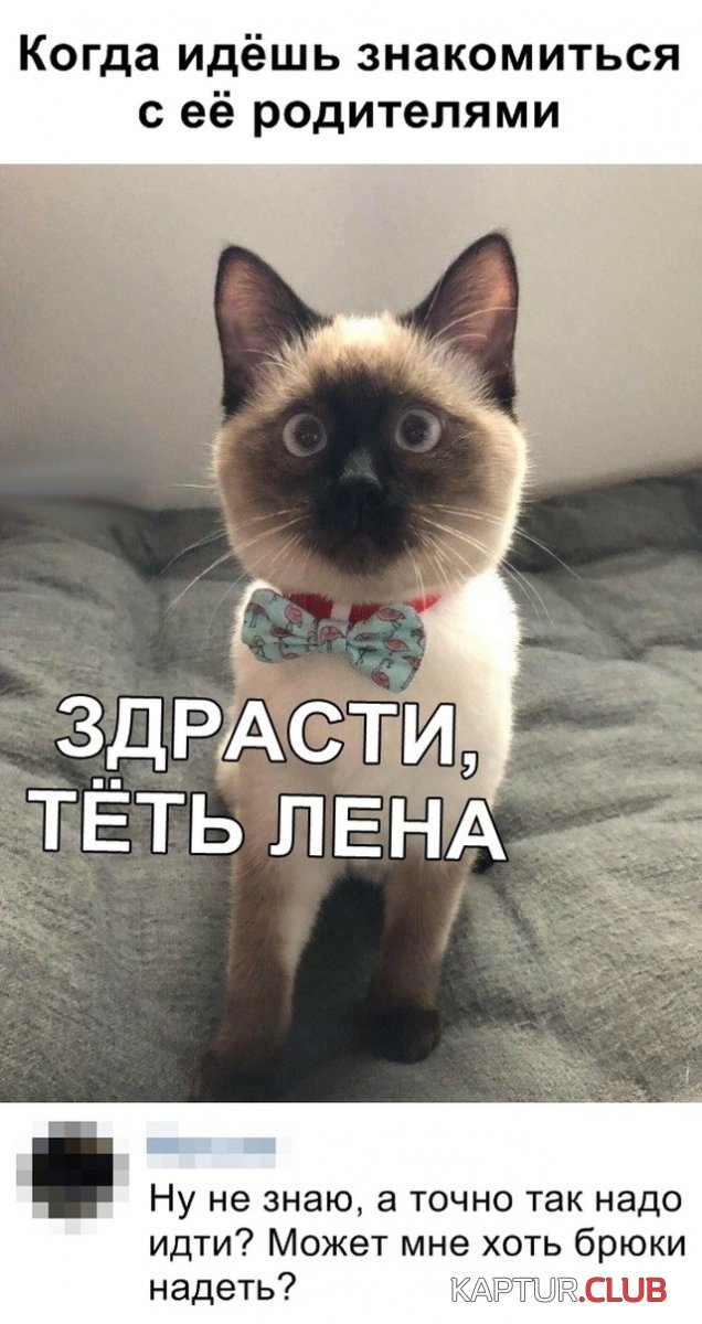 podb_dnevnaya_05.jpg | Рено Каптур Клуб Россия | Форум KAPTUR.SU