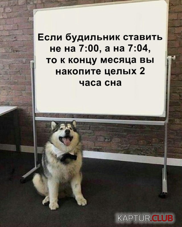 podb_dnevnaya_19.jpg | Рено Каптур Клуб Россия | Форум KAPTUR.SU