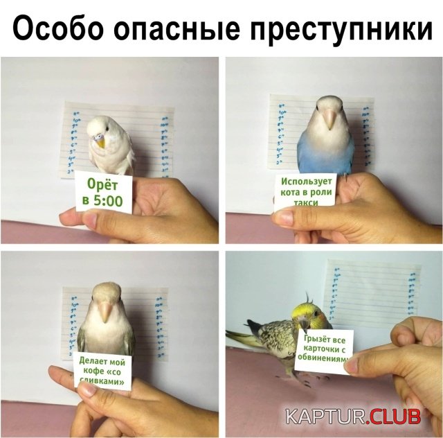podb_dnevnaya_22.jpg | Рено Каптур Клуб Россия | Форум KAPTUR.SU