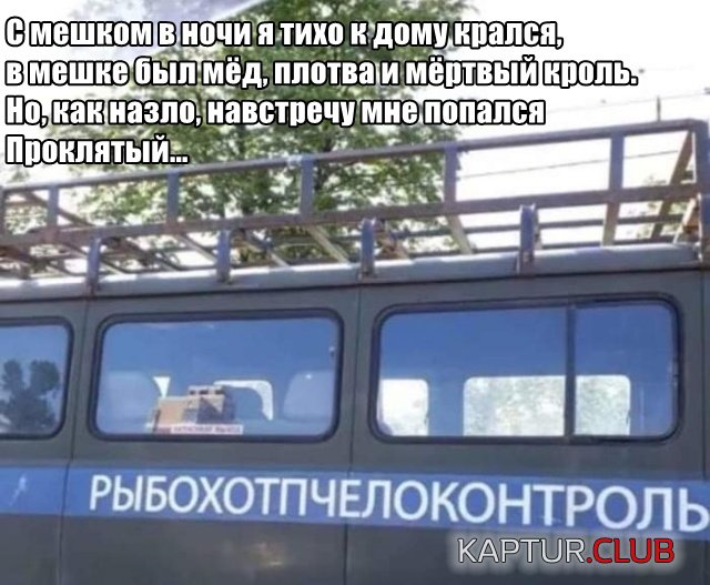 podb_vecher_020.jpg | Рено Каптур Клуб Россия | Форум KAPTUR.SU