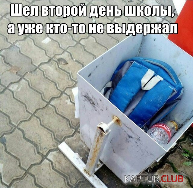 podb_vecher_03.jpg | Рено Каптур Клуб Россия | Форум KAPTUR.SU