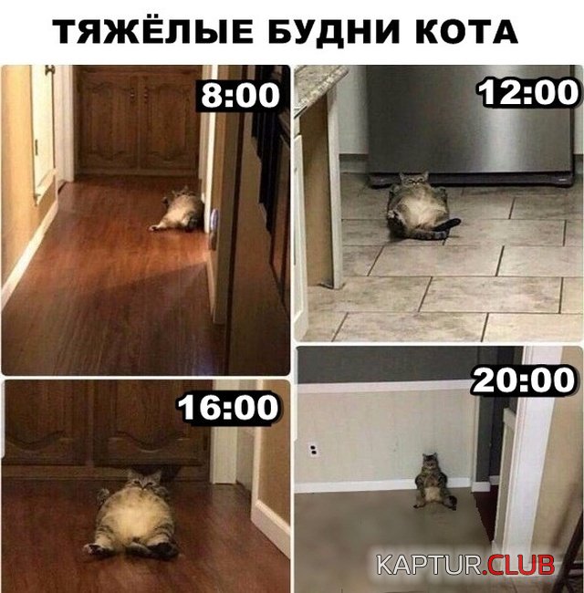 podb_vecher_07.jpg | Рено Каптур Клуб Россия | Форум KAPTUR.SU