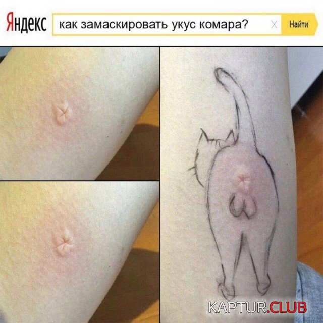 podb_vecher_09.jpg | Рено Каптур Клуб Россия | Форум KAPTUR.SU