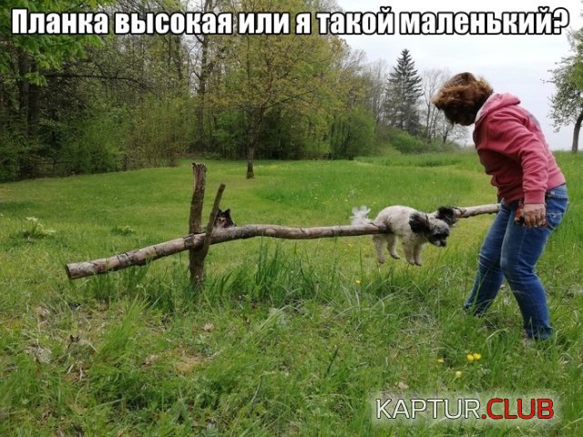 podb_vecher_09.jpg | Рено Каптур Клуб Россия | Форум KAPTUR.SU