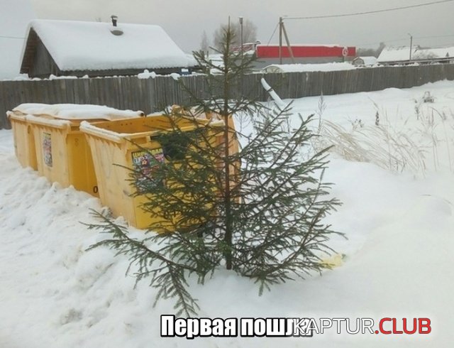 podborka_01.jpg | Рено Каптур Клуб Россия | Форум KAPTUR.SU