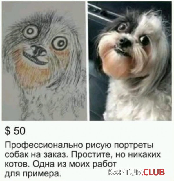 podborka_18.jpg | Рено Каптур Клуб Россия | Форум KAPTUR.SU