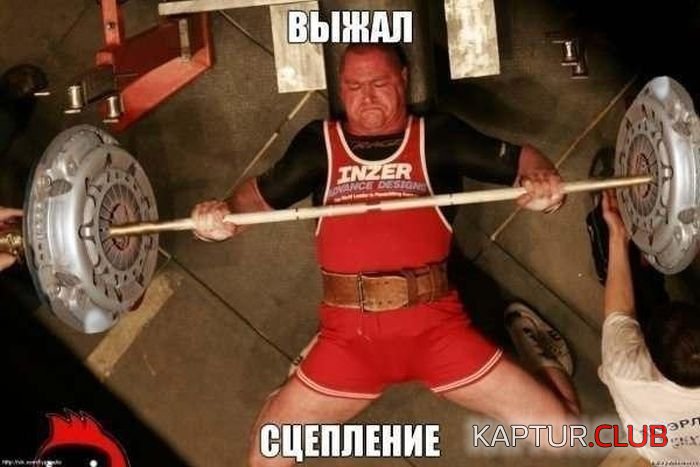 podborka_avtoprikolov_09.jpg | Рено Каптур Клуб Россия | Форум KAPTUR.SU