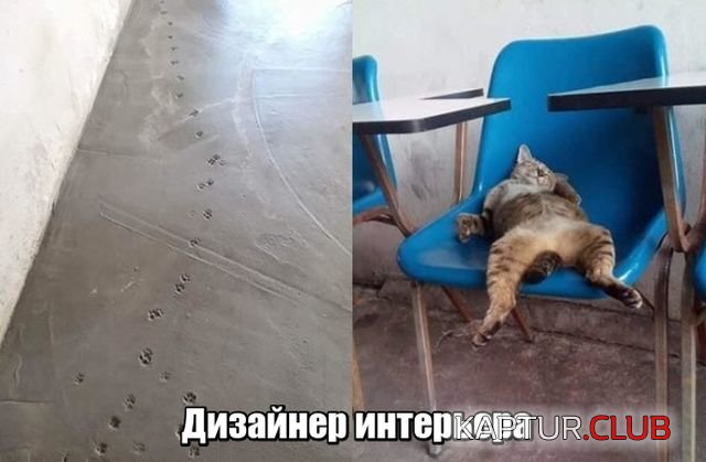 podborka_dnevnaya_01.jpg | Рено Каптур Клуб Россия | Форум KAPTUR.SU