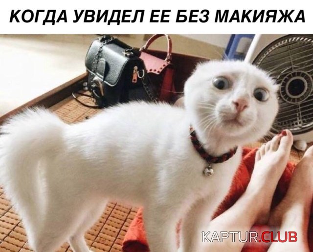 podborka_dnevnaya_01.jpg | Рено Каптур Клуб Россия | Форум KAPTUR.SU