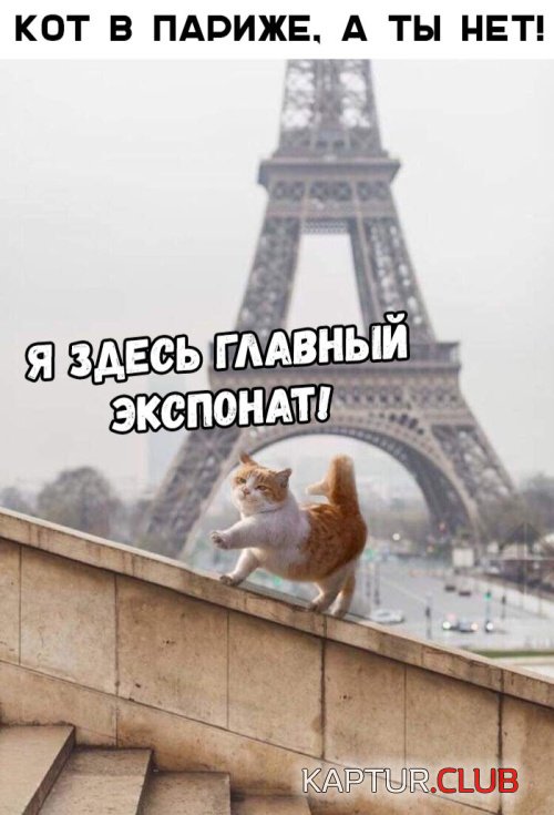 podborka_dnevnaya_04.jpg | Рено Каптур Клуб Россия | Форум KAPTUR.SU