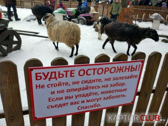 podborka_dnevnaya_05.jpg | Рено Каптур Клуб Россия | Форум KAPTUR.SU