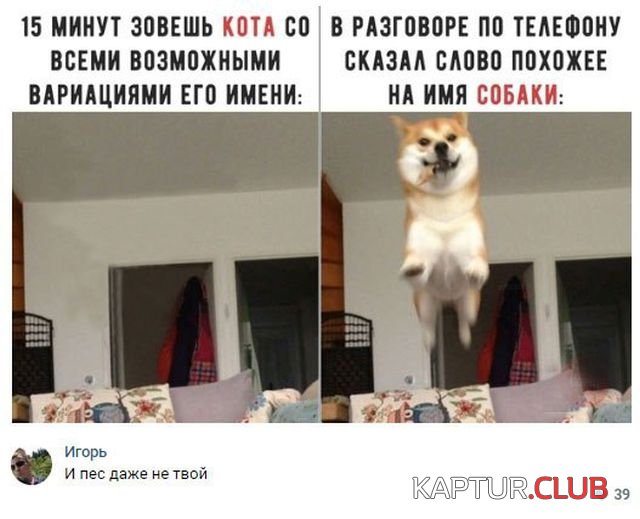 podborka_dnevnaya_13.jpg | Рено Каптур Клуб Россия | Форум KAPTUR.SU