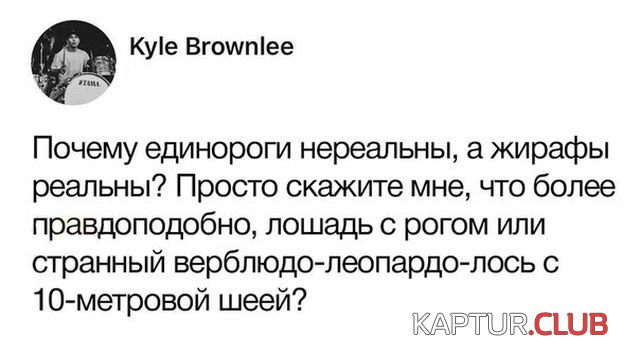 podborka_dnevnaya_15.jpg | Рено Каптур Клуб Россия | Форум KAPTUR.SU