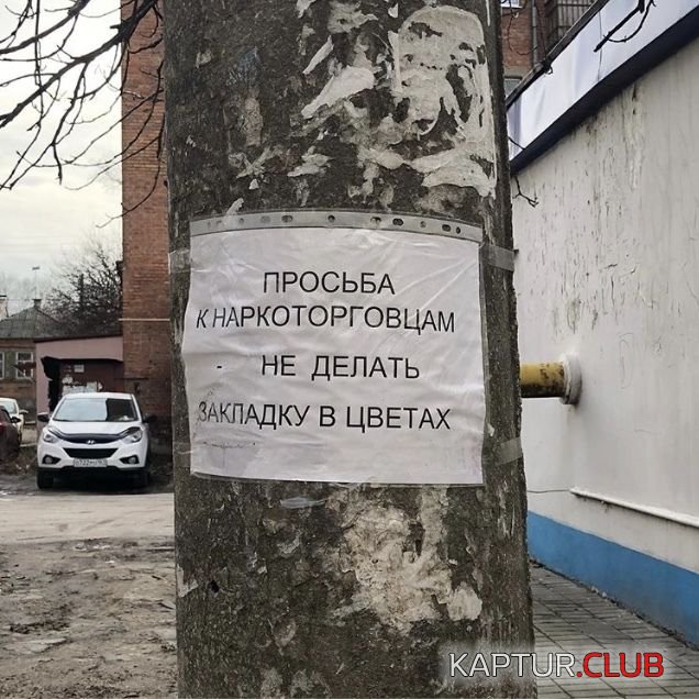 podborka_dnevnaya_16.jpg | Рено Каптур Клуб Россия | Форум KAPTUR.SU