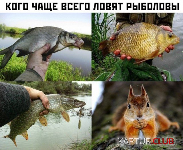 podborka_dnevnaya_18.jpg | Рено Каптур Клуб Россия | Форум KAPTUR.SU