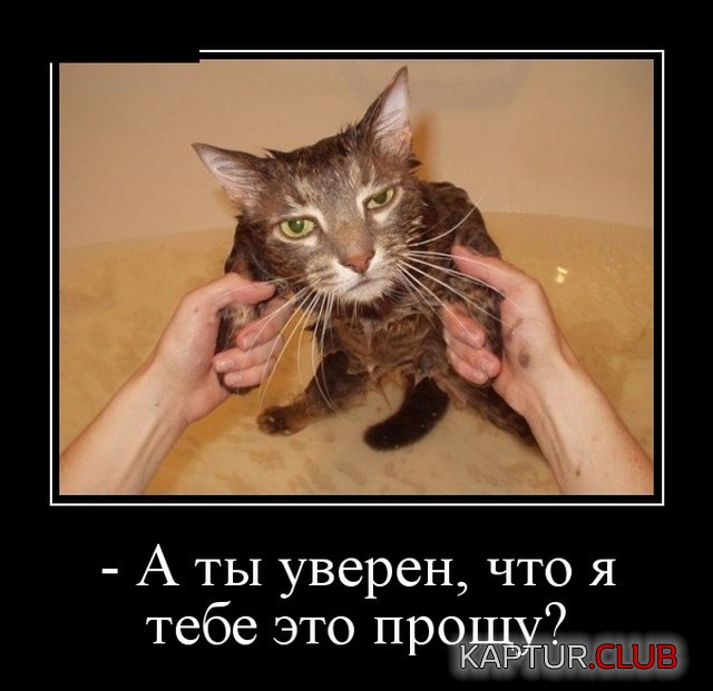 podborka_dnevnaya_21.jpg | Рено Каптур Клуб Россия | Форум KAPTUR.SU