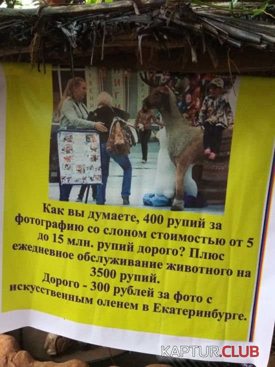 podborka_dnevnaya_24.jpg | Рено Каптур Клуб Россия | Форум KAPTUR.SU