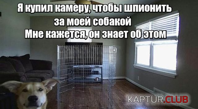 podborka_dnevnaya_25.jpg | Рено Каптур Клуб Россия | Форум KAPTUR.SU