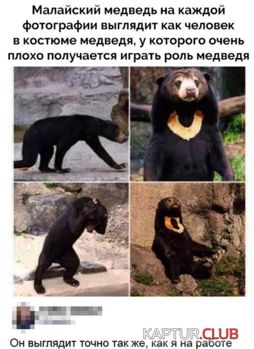 podborka_kartinok_03.jpg | Рено Каптур Клуб Россия | Форум KAPTUR.SU
