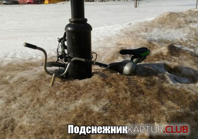 podborka_vecher_01.jpg | Рено Каптур Клуб Россия | Форум KAPTUR.SU