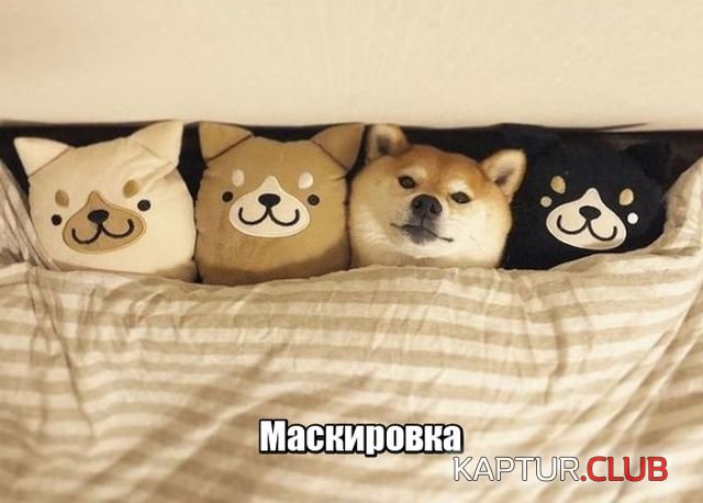 podborka_vecher_01.jpg | Рено Каптур Клуб Россия | Форум KAPTUR.SU