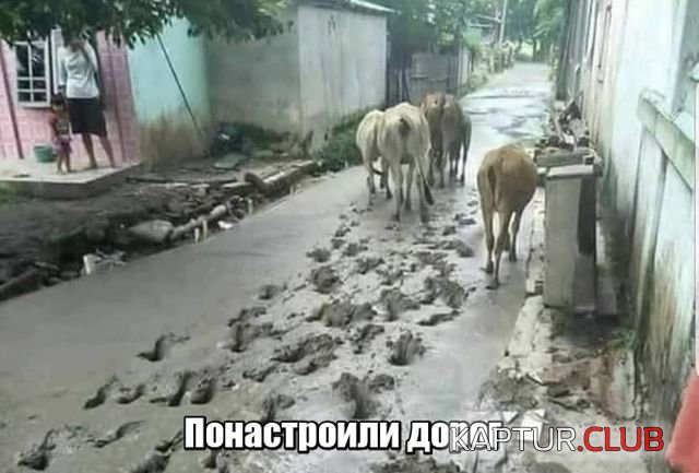 podborka_vecher_01.jpg | Рено Каптур Клуб Россия | Форум KAPTUR.SU