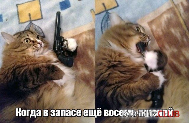 podborka_vecher_01.jpg | Рено Каптур Клуб Россия | Форум KAPTUR.SU