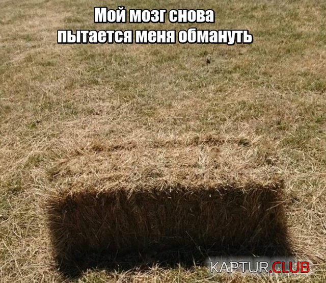 podborka_vecher_01.jpg | Рено Каптур Клуб Россия | Форум KAPTUR.SU