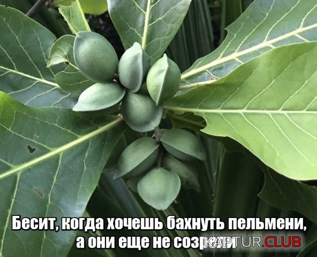 podborka_vecher_01.jpg | Рено Каптур Клуб Россия | Форум KAPTUR.SU