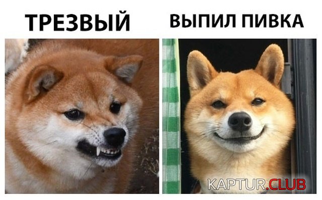 podborka_vecher_02.jpg | Рено Каптур Клуб Россия | Форум KAPTUR.SU
