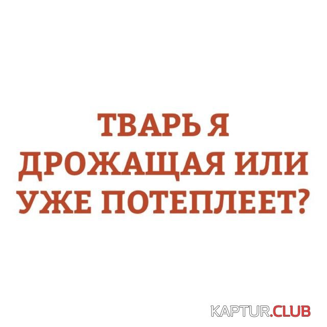 podborka_vecher_03.jpg | Рено Каптур Клуб Россия | Форум KAPTUR.SU