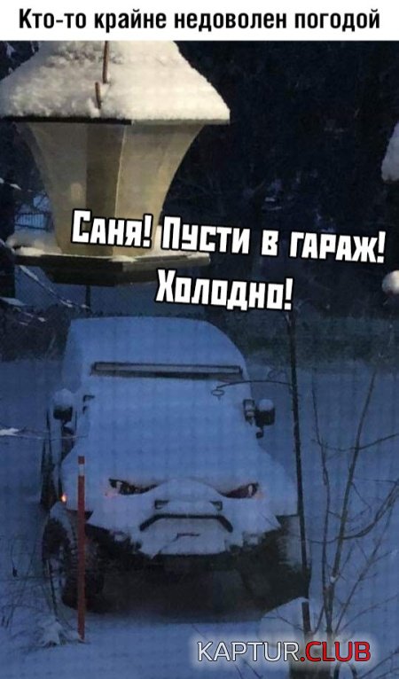 podborka_vecher_03.jpg | Рено Каптур Клуб Россия | Форум KAPTUR.SU