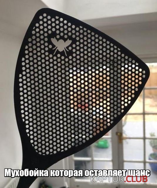 podborka_vecher_04.jpg | Рено Каптур Клуб Россия | Форум KAPTUR.SU