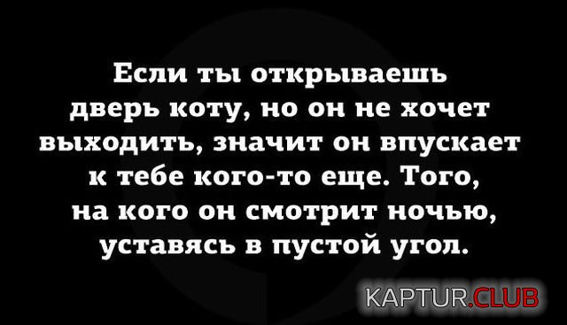 podborka_vecher_04.jpg | Рено Каптур Клуб Россия | Форум KAPTUR.SU