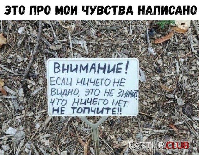 podborka_vecher_04.jpg | Рено Каптур Клуб Россия | Форум KAPTUR.SU