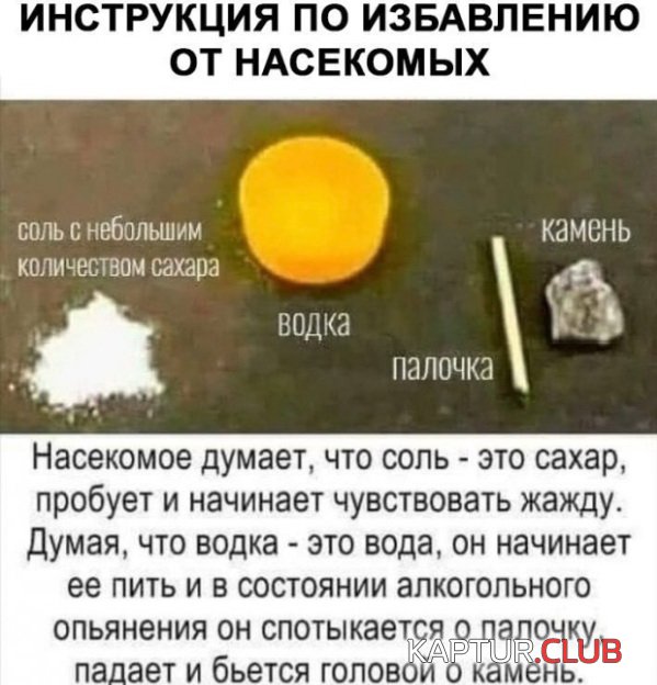 podborka_vecher_04.jpg | Рено Каптур Клуб Россия | Форум KAPTUR.SU