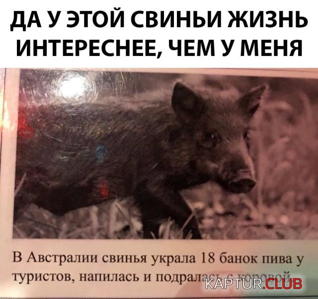 podborka_vecher_05.jpg | Рено Каптур Клуб Россия | Форум KAPTUR.SU
