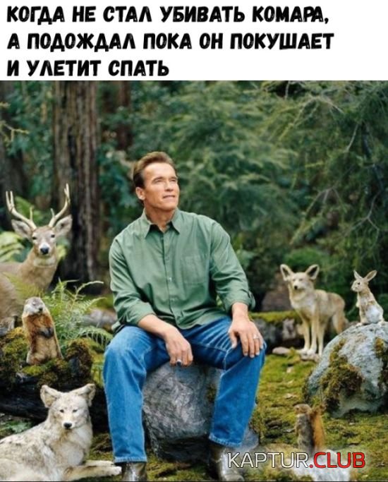 podborka_vecher_05.jpg | Рено Каптур Клуб Россия | Форум KAPTUR.SU