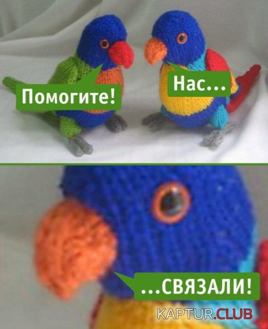 podborka_vecher_05.jpg | Рено Каптур Клуб Россия | Форум KAPTUR.SU