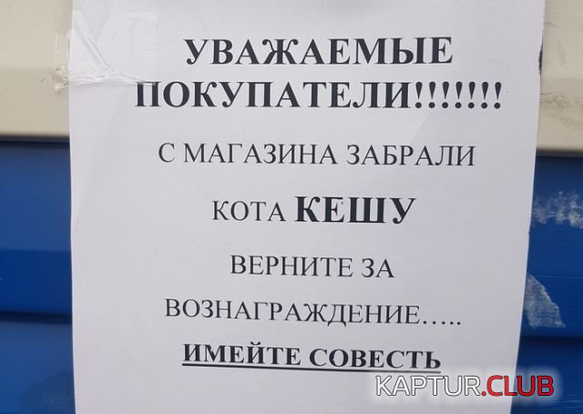 podborka_vecher_06.jpg | Рено Каптур Клуб Россия | Форум KAPTUR.SU