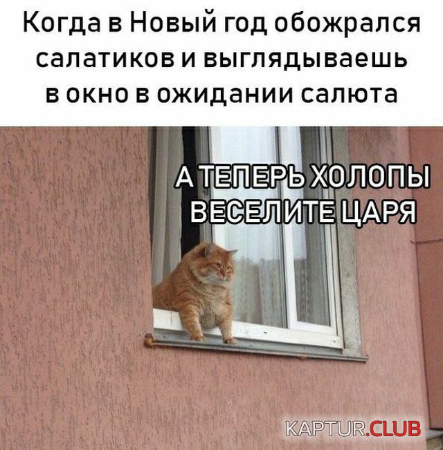 podborka_vecher_06.jpg | Рено Каптур Клуб Россия | Форум KAPTUR.SU