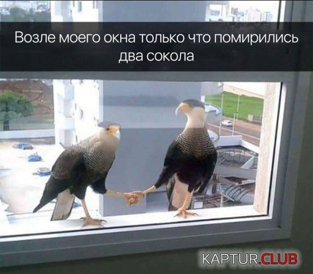 podborka_vecher_06.jpg | Рено Каптур Клуб Россия | Форум KAPTUR.SU