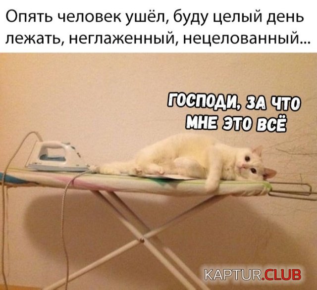 podborka_vecher_06.jpg | Рено Каптур Клуб Россия | Форум KAPTUR.SU