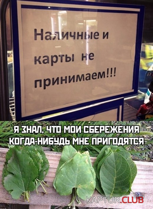 podborka_vecher_06.jpg | Рено Каптур Клуб Россия | Форум KAPTUR.SU